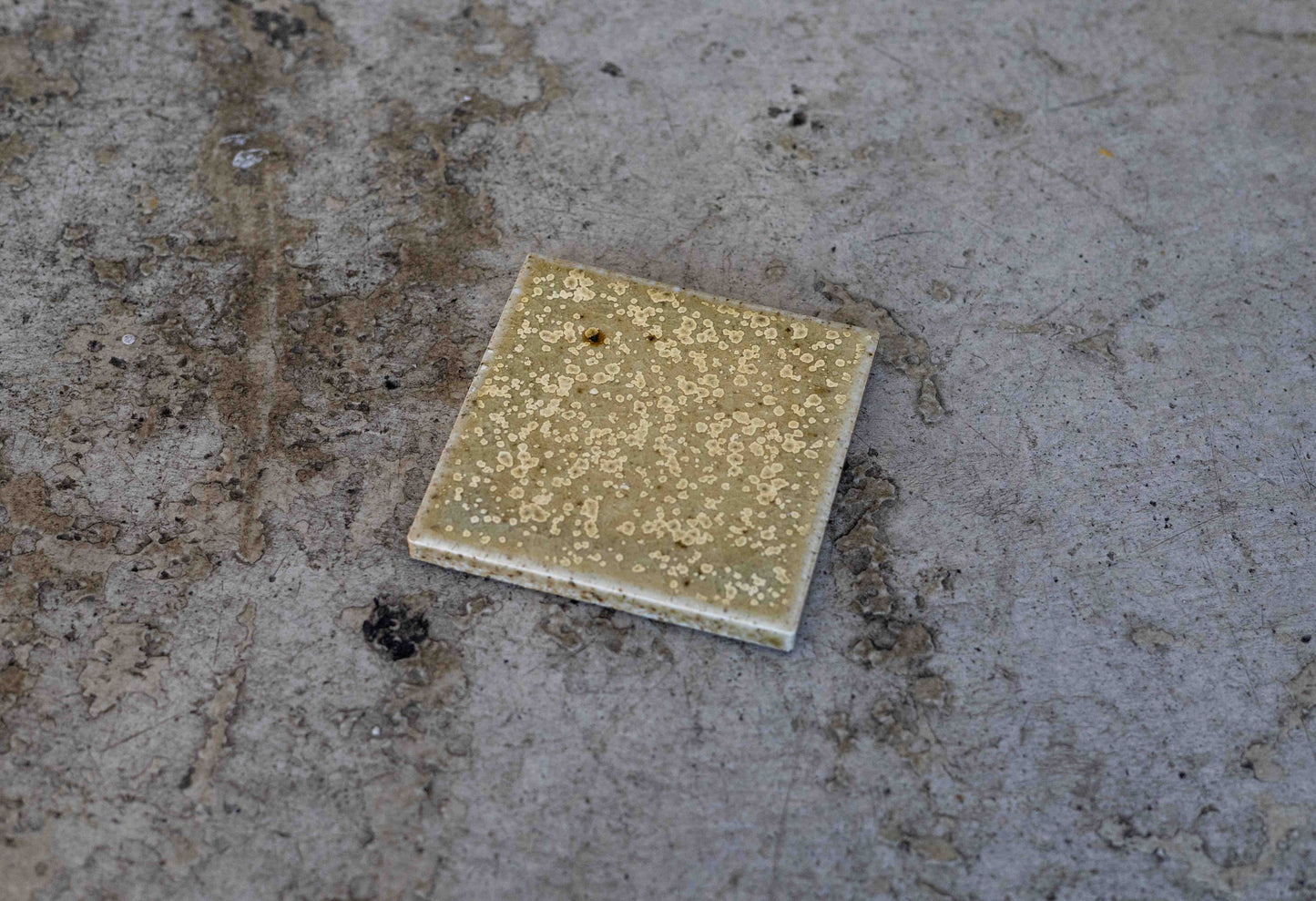 【TILE KIOSK】coaster