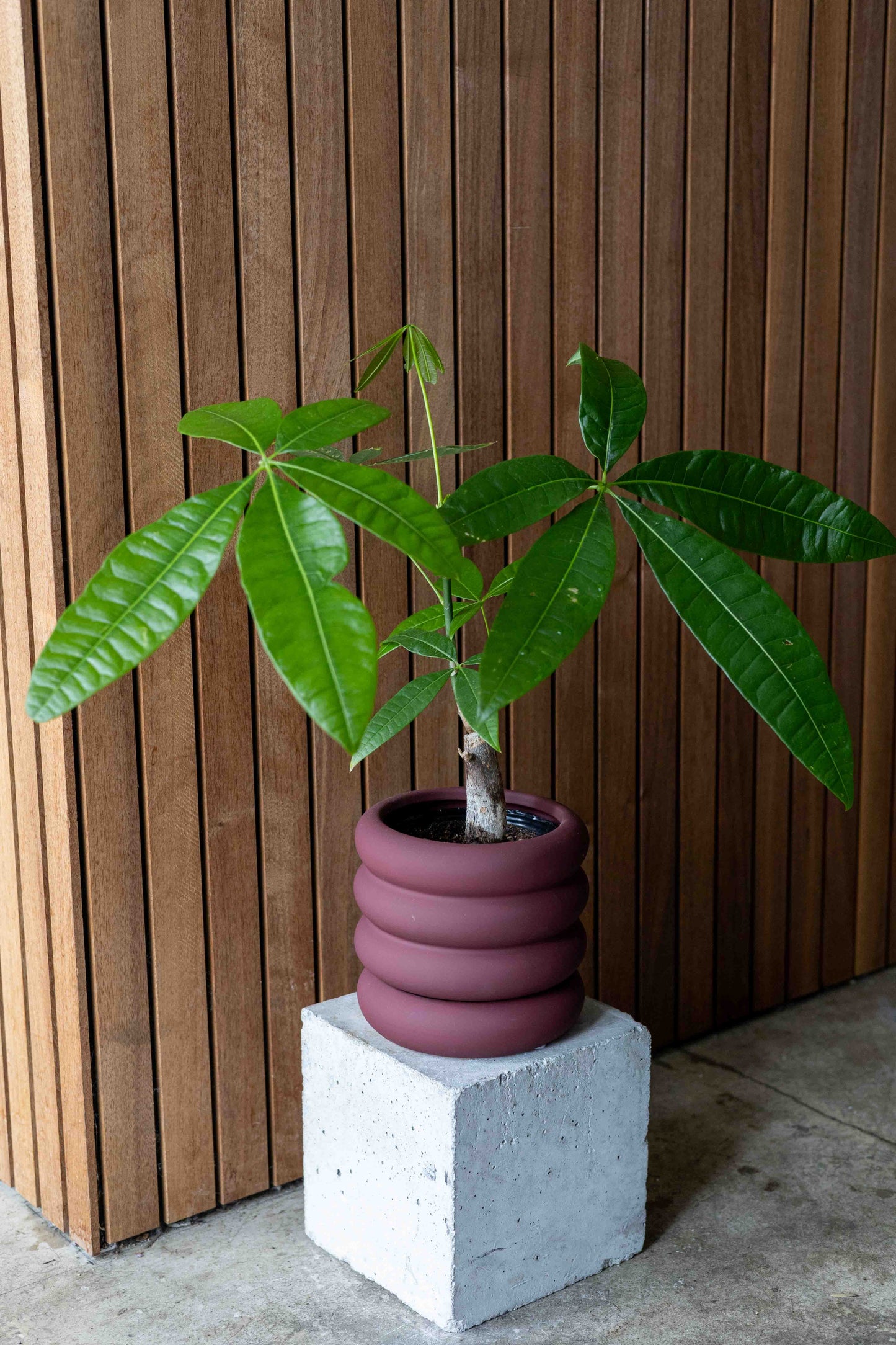 【THORN STORE】Pot cover