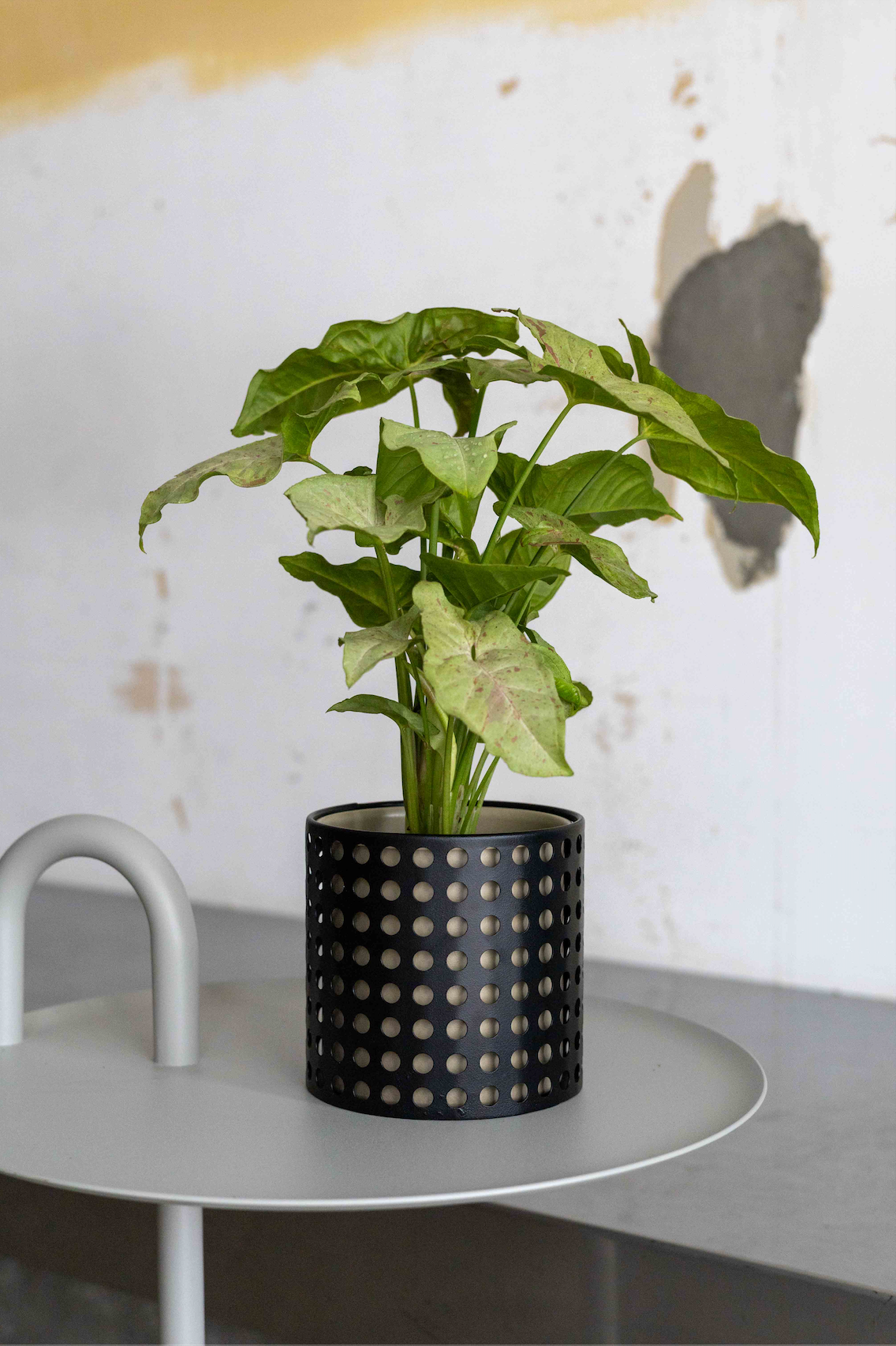 【THORN STORE】Pot cover