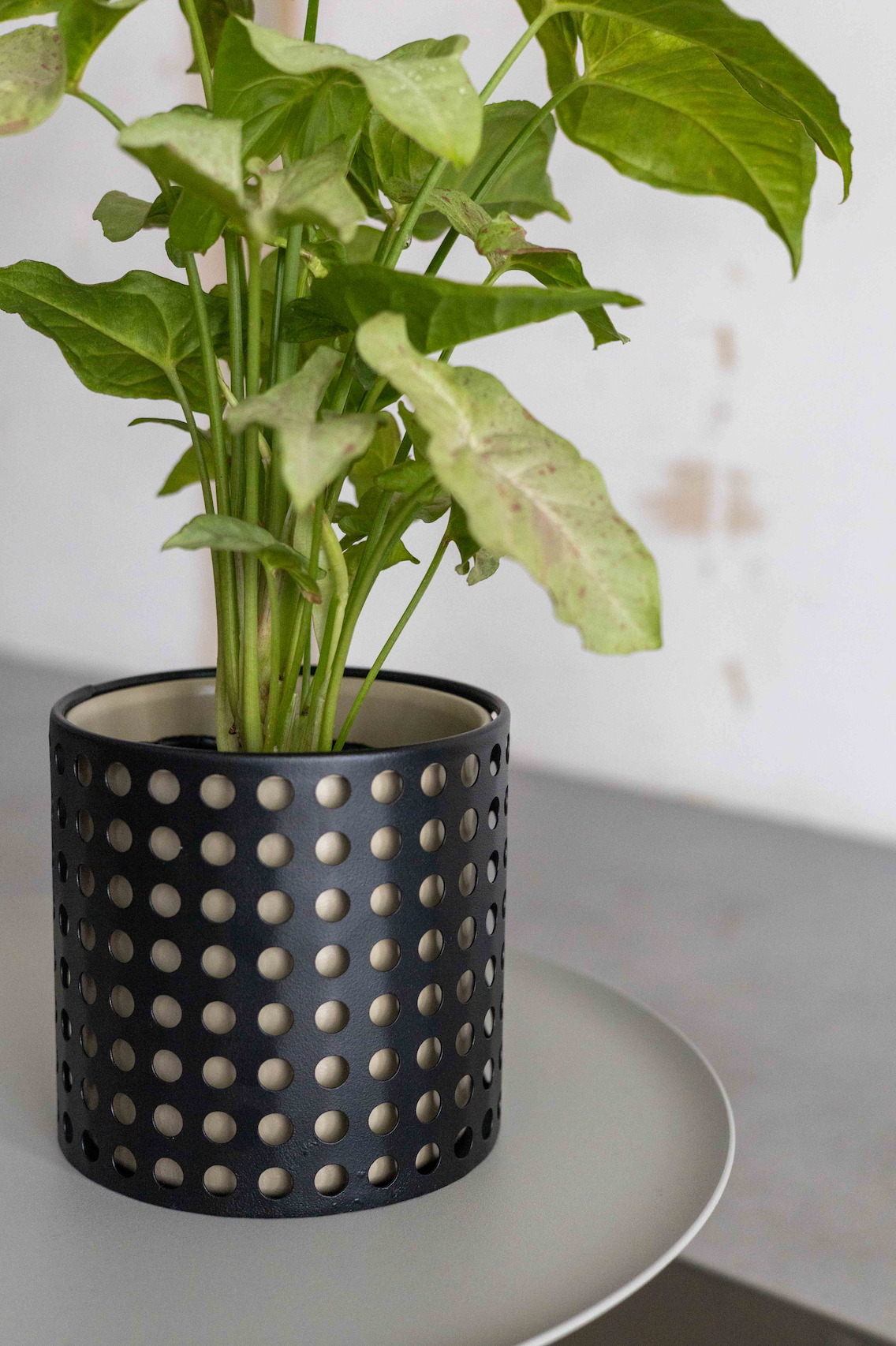 【THORN STORE】Pot cover