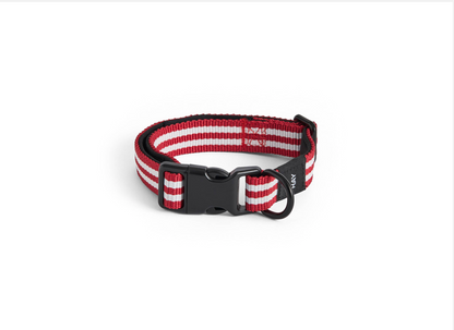 【HAY】DOGS COLLAR FLAT（25～45 cm）