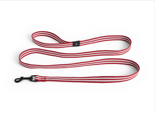 【HAY】DOGS LEASH FLAT S/M