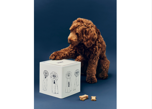 【HAY】DOGS FOOD STORAGE TIN L