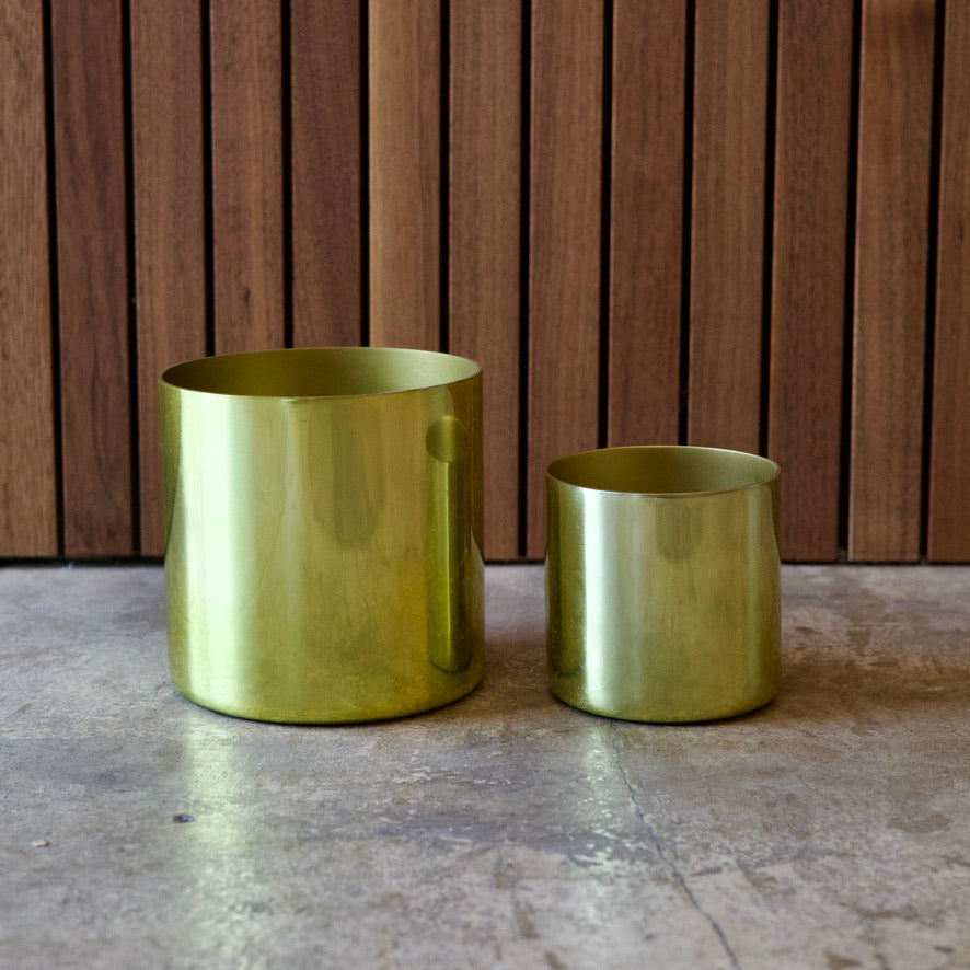 THORN STORE-Gold potcover-Lsize