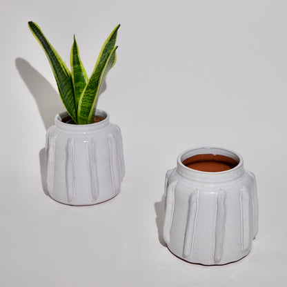 THORN STORE -Ceramic pot cover -white